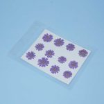 Pressed Daisy Flowers purple