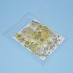 Pressed Daisy Flower with branches Yellow