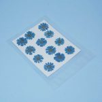 Pressed Daisy Flowers Sky Blue